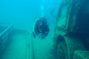 E7152068-79C2-4A2E-82F9-67F45936C86F